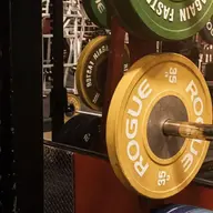 Rogue bumper plates on an SFF rack